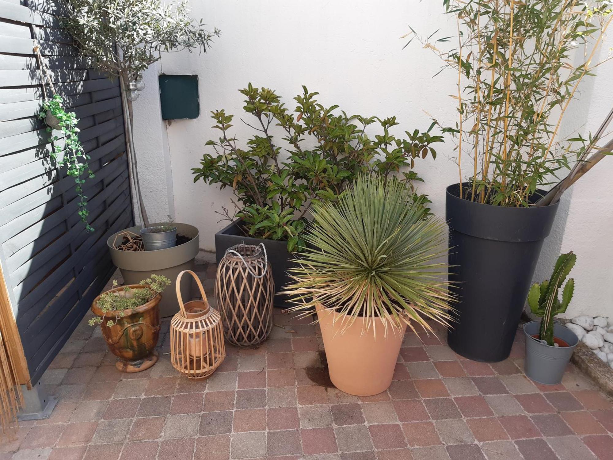 Grand Studio Avec Patio Marselha Exterior foto